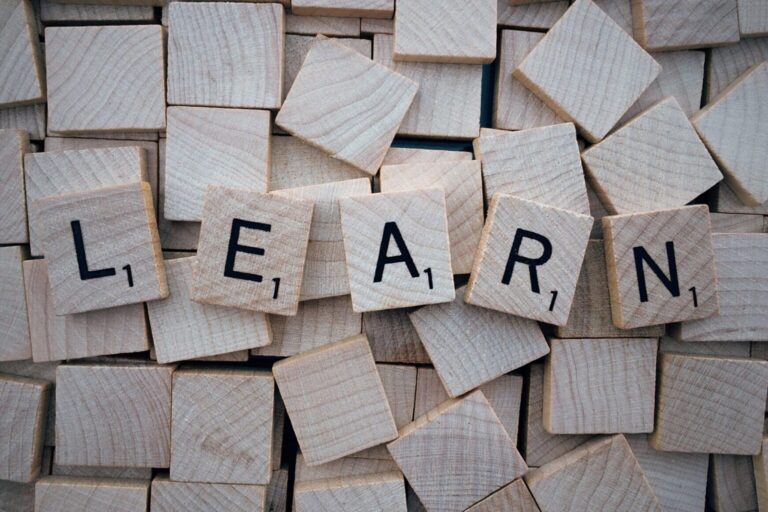 Read more about the article Top Elearning Service Providers 2025